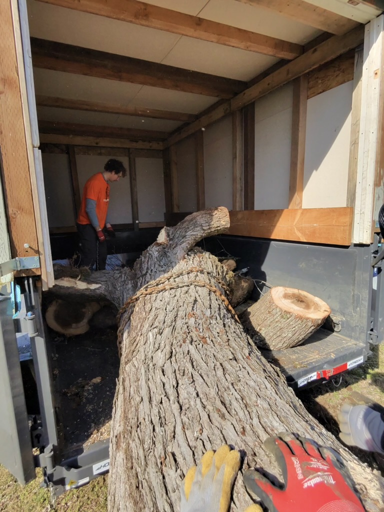 A Hauling Patriots crew member loading a large oak trunk section into the dump trailer after a winter storm in Nashville