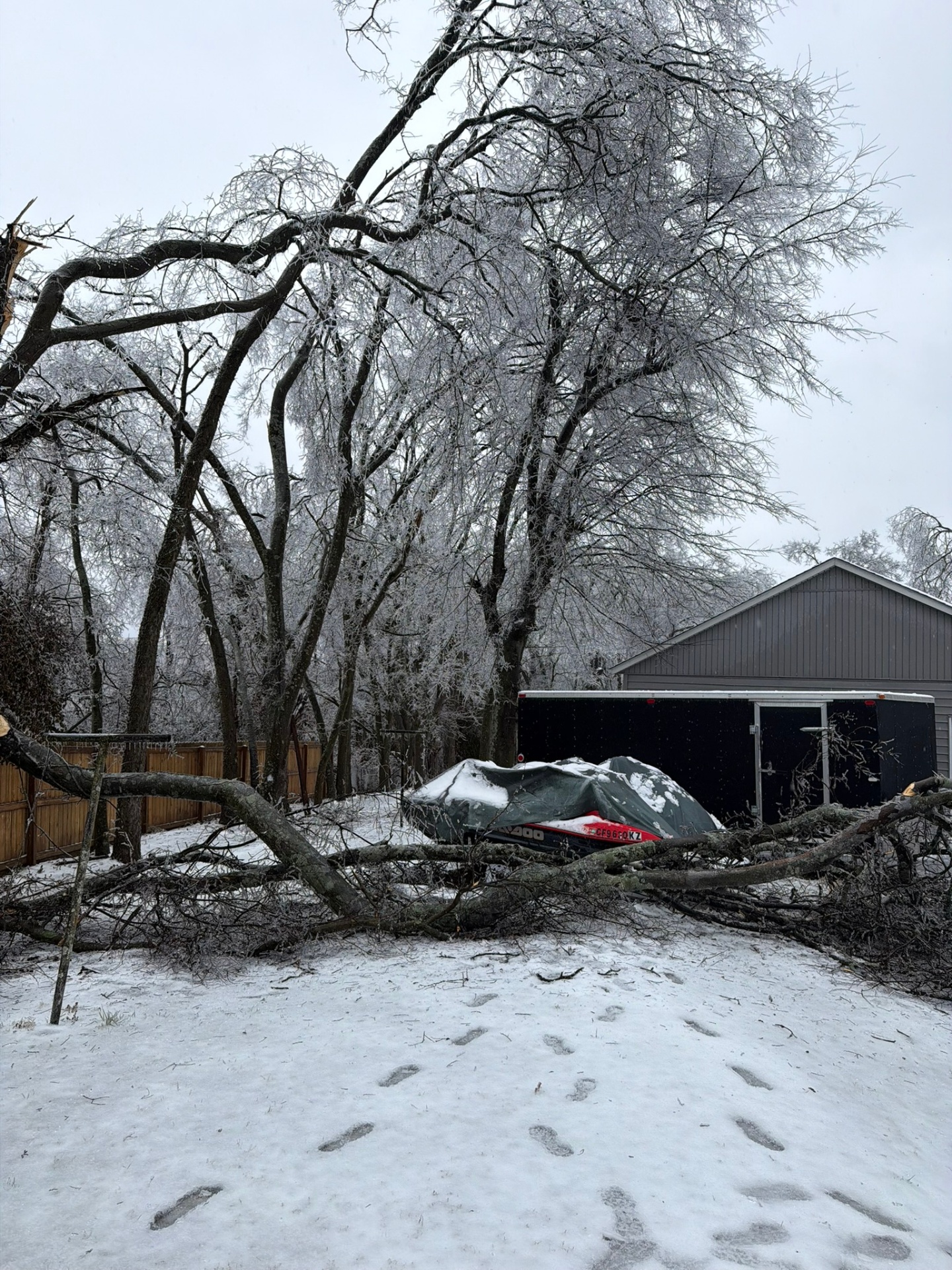 A large tree fallen across a Nashville-area backyard after a winter ice storm, with the Hauling Patriots dump trailer staged nearby